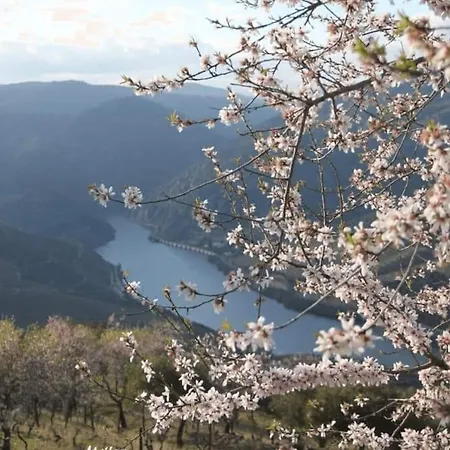 Apartment Eiradouro - Casa Oliveira *