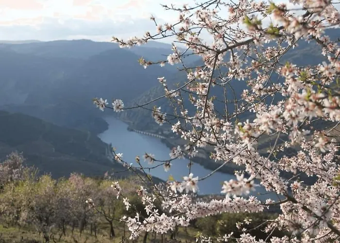 Daire Eiradouro - Casa Oliveira *